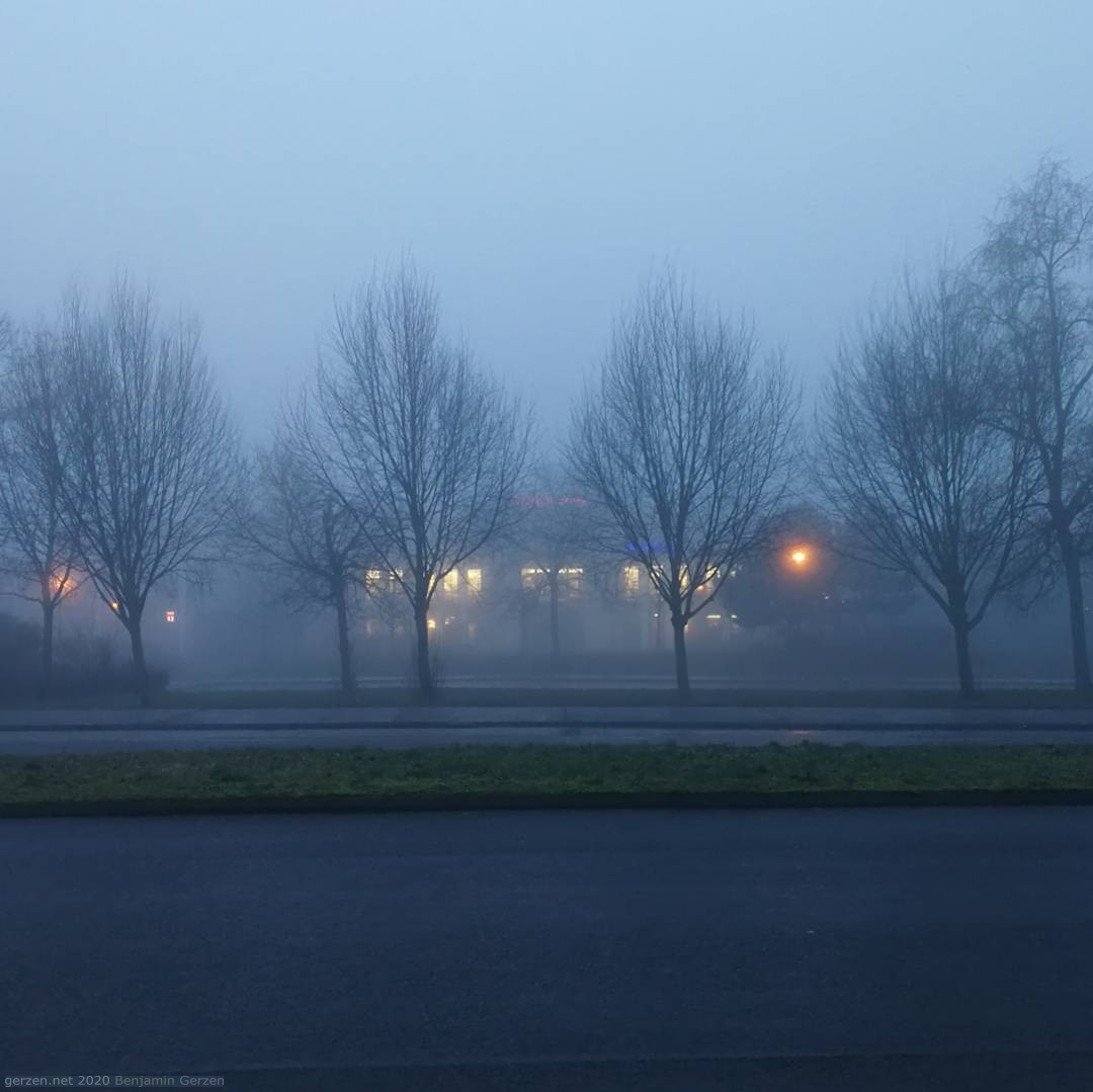 Fog and Twilight in Marzahn