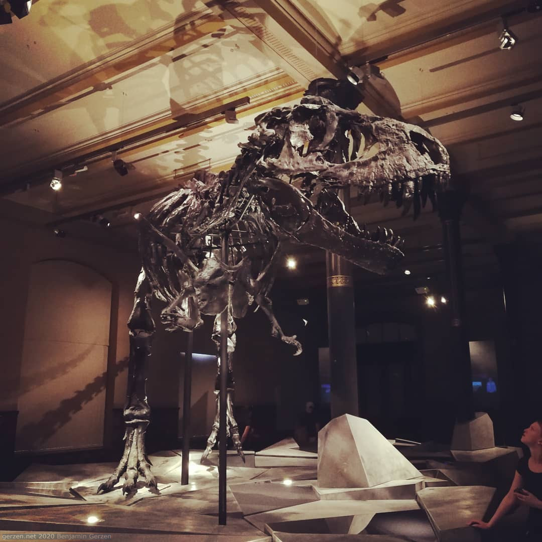 Скелет Тираннозавра в Музее естествознания, Берлин