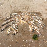 Krabbenmosaik auf dem Sand