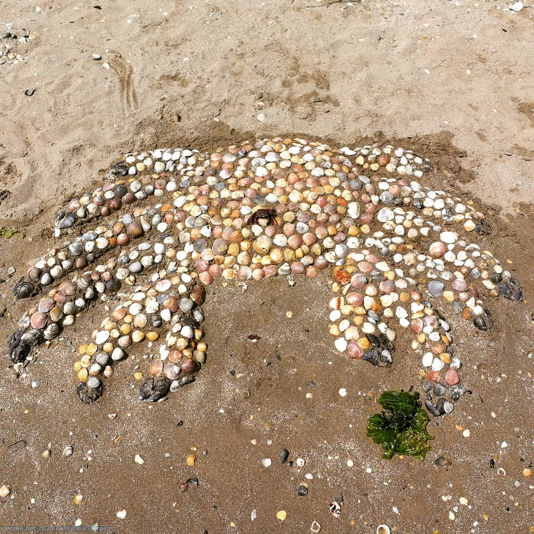 Krabben auf dem Sand