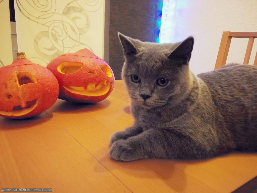 Don't fear the pumpkin!