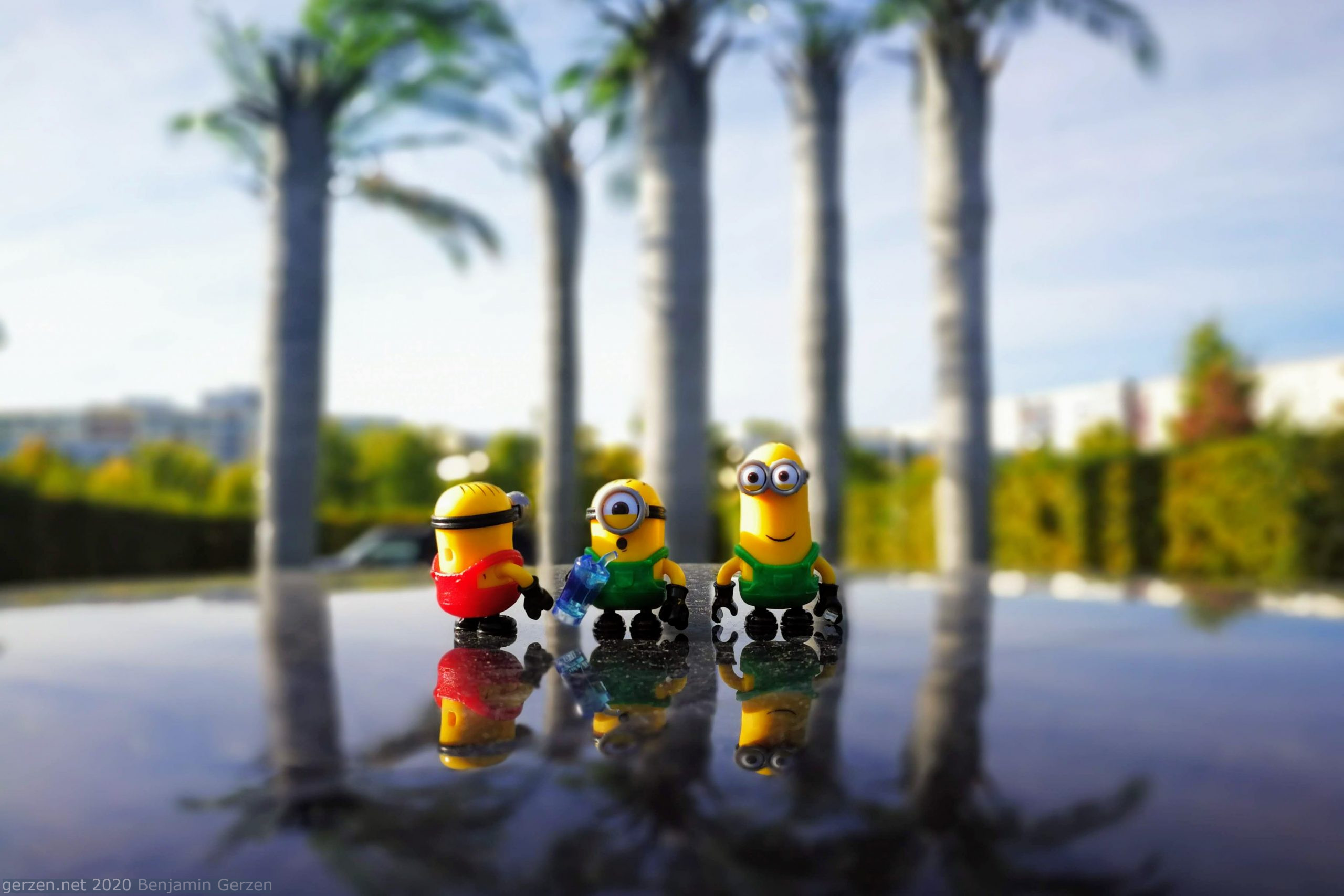 Minions in front of palms