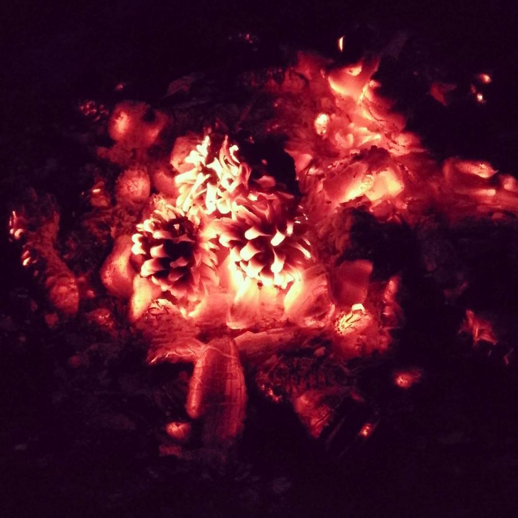 огонь костёр ночь