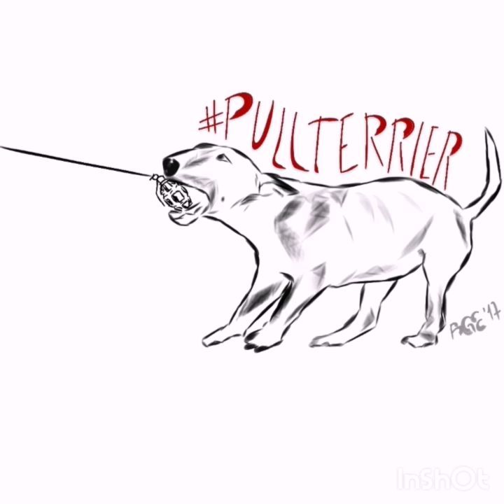 Pullterrier